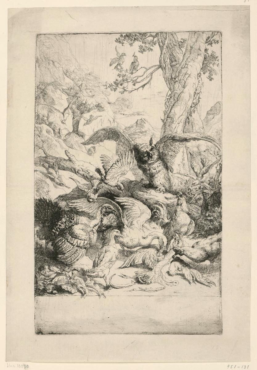 Eule und Federvieh