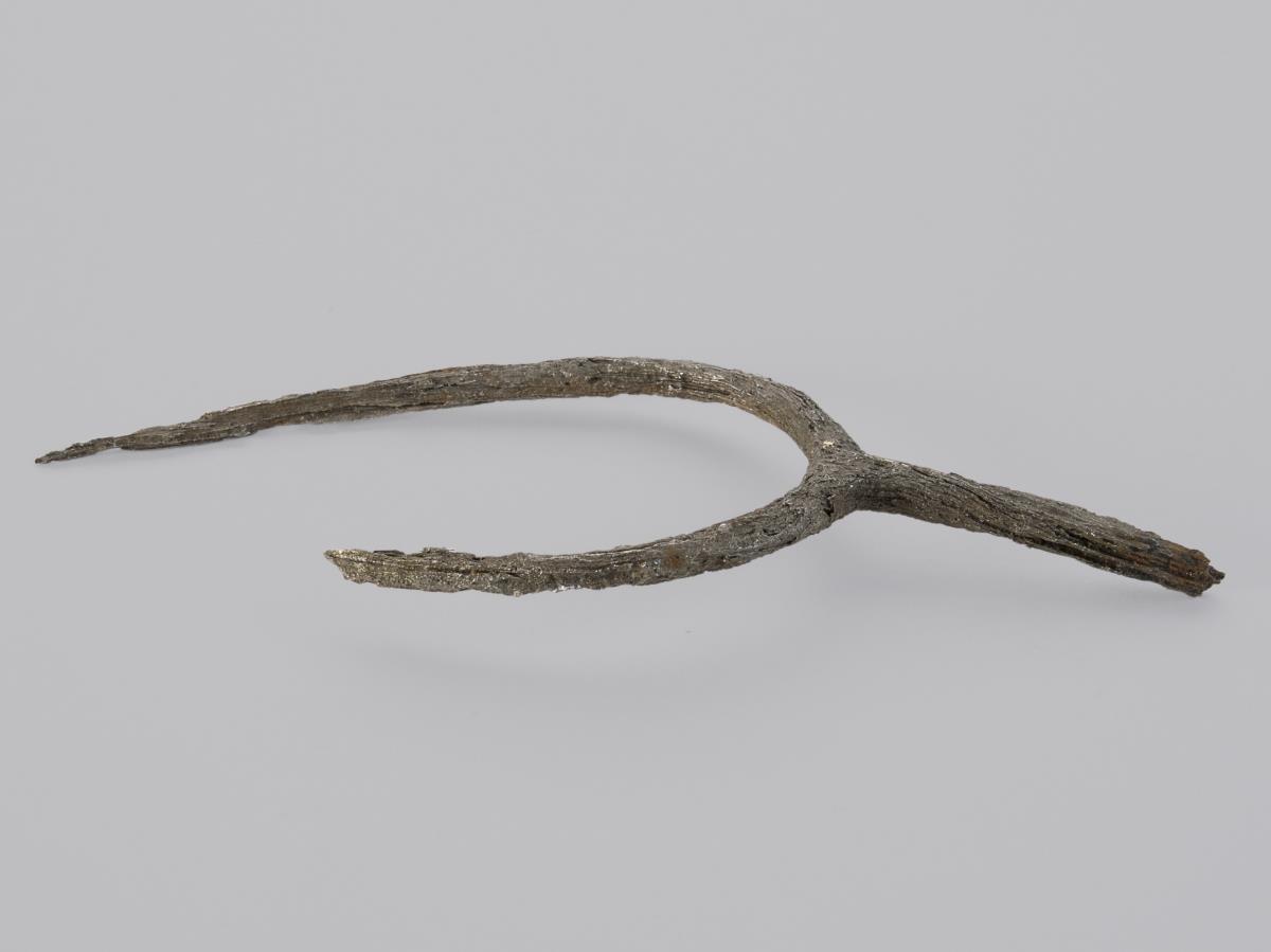 Stachelsporn