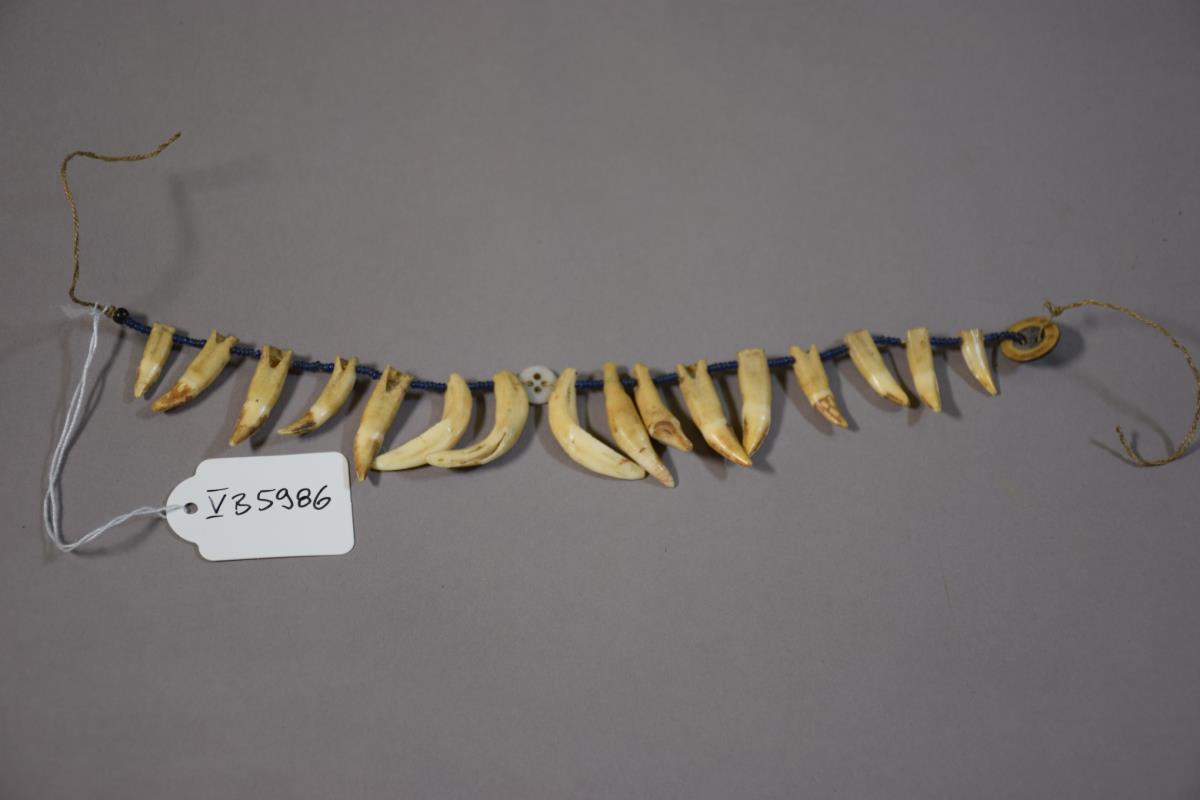 V B 5986