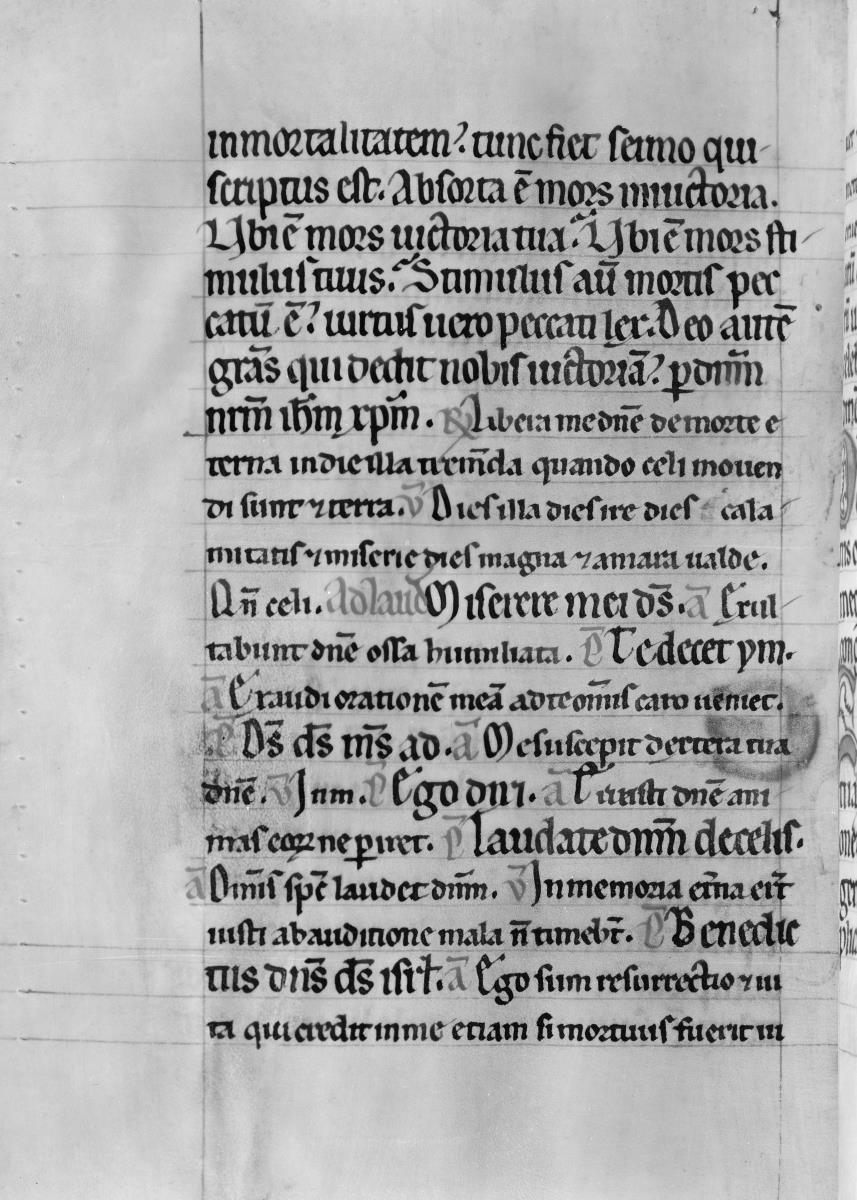 Textseite. Thüringisch-sächsisches Psalterium
