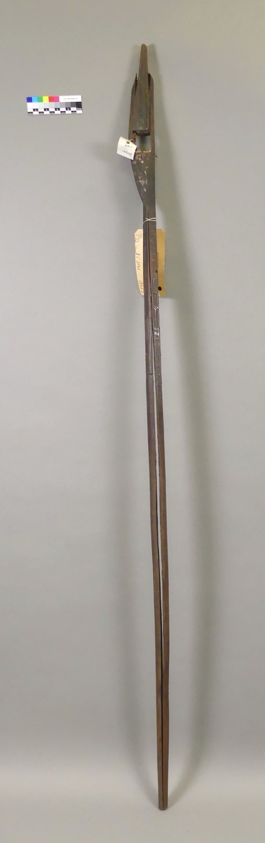 III C 1141 <2>