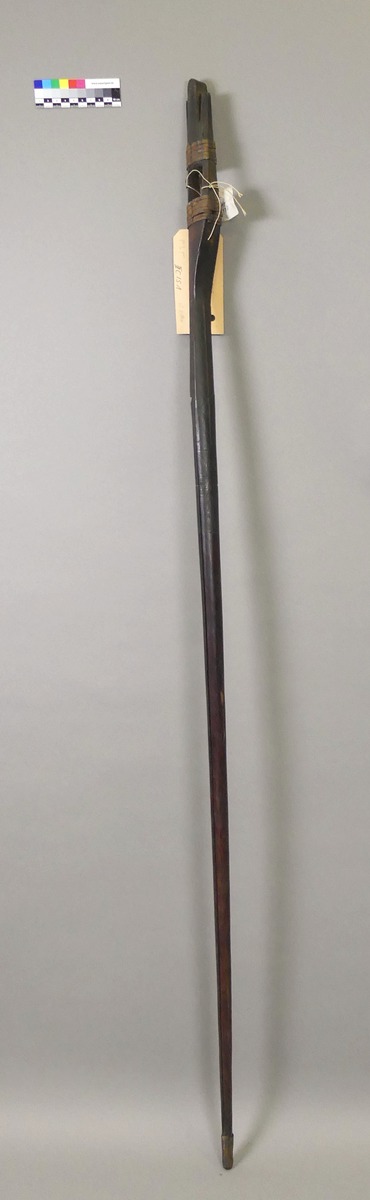 III C 151 <2>