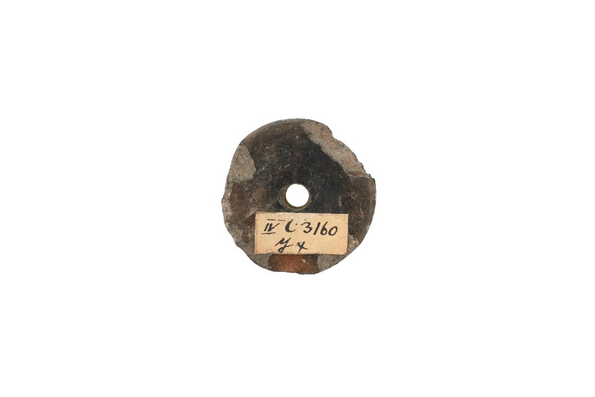 IV Ca 3160 y (1 x +)