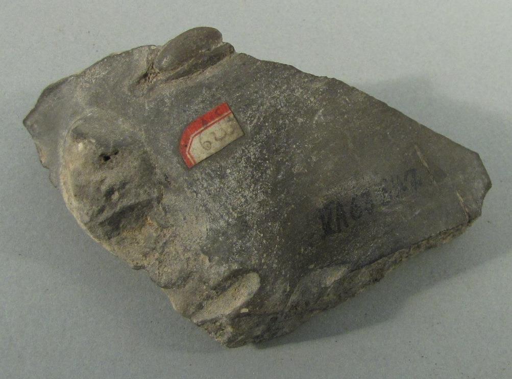 V A 63647