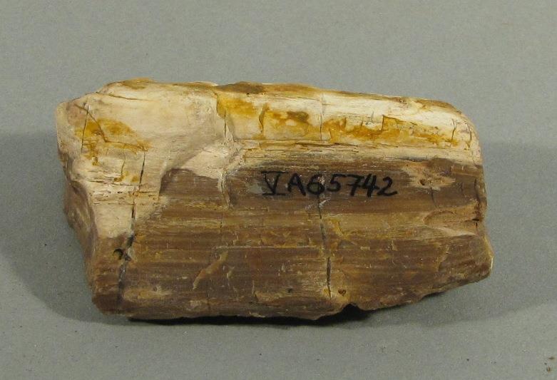 V A 65742