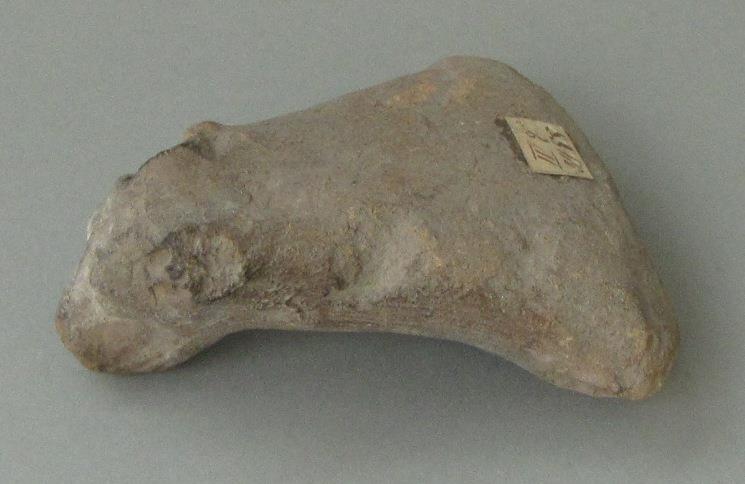 IV Ca 3488
