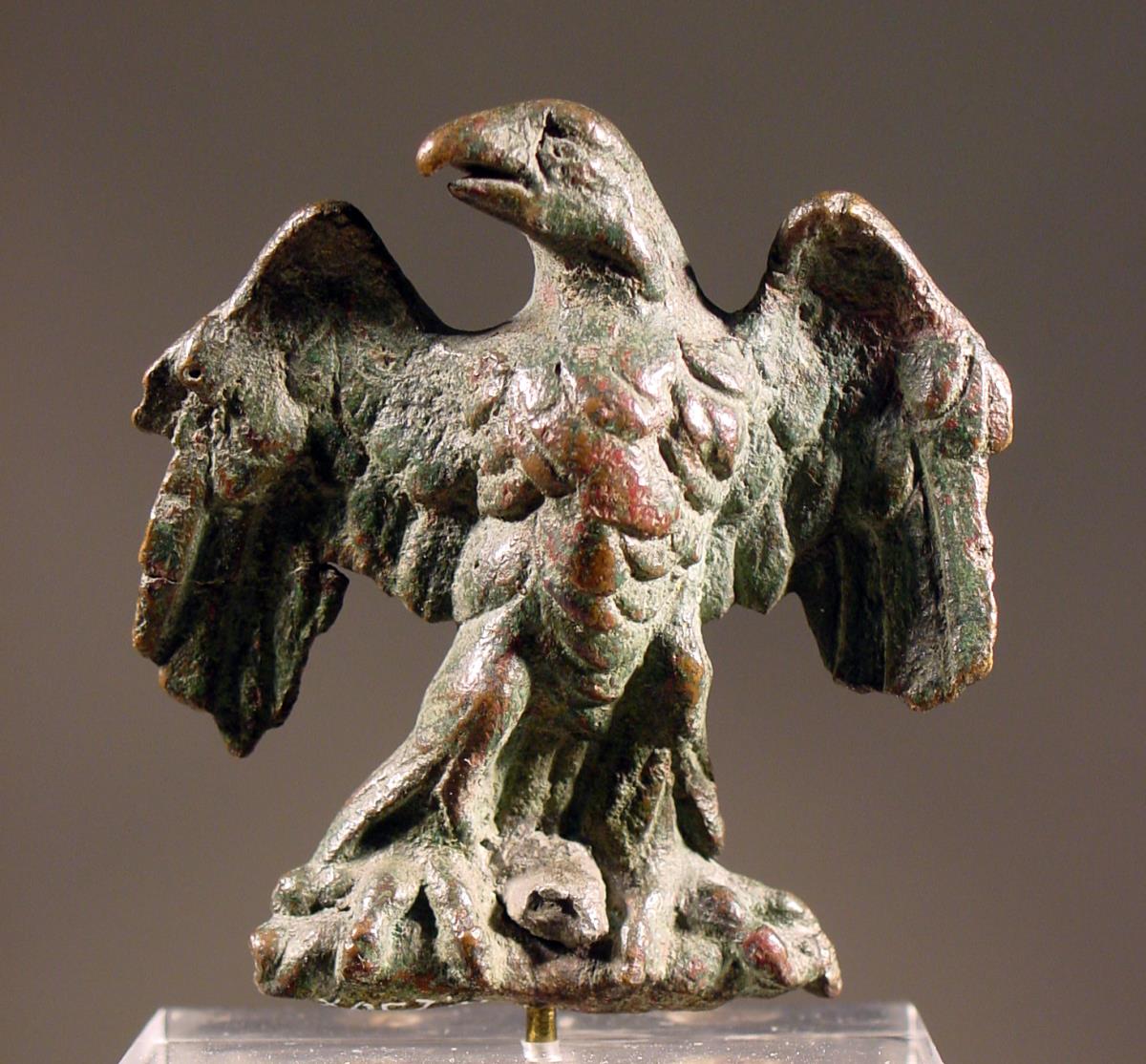 Adler mit ausgebreiteten Flügeln