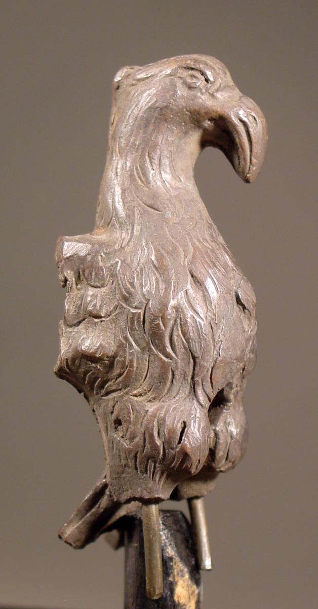 Vorderteil eines Geiers (modern)