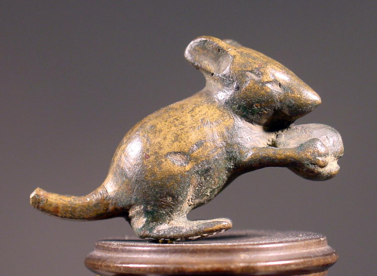 Maus