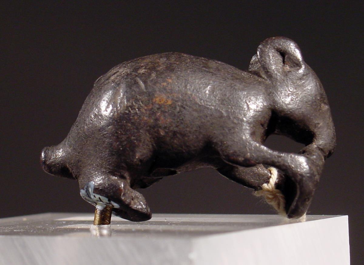 Maus