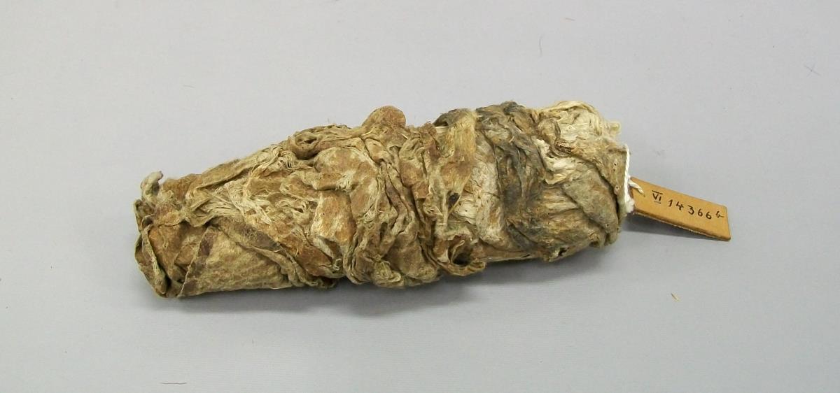 VI 14366 b