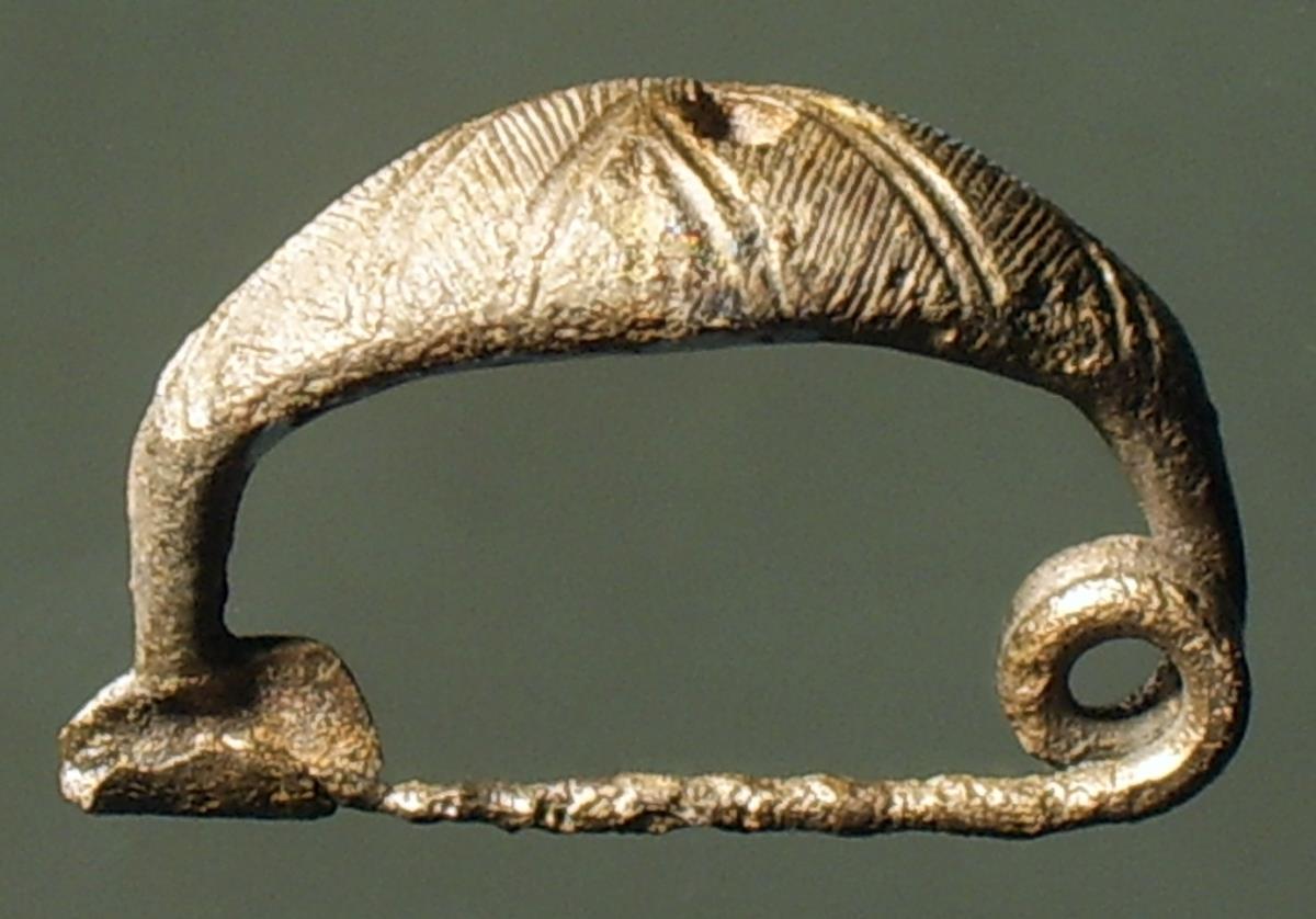 Flache Sanguisugafibel