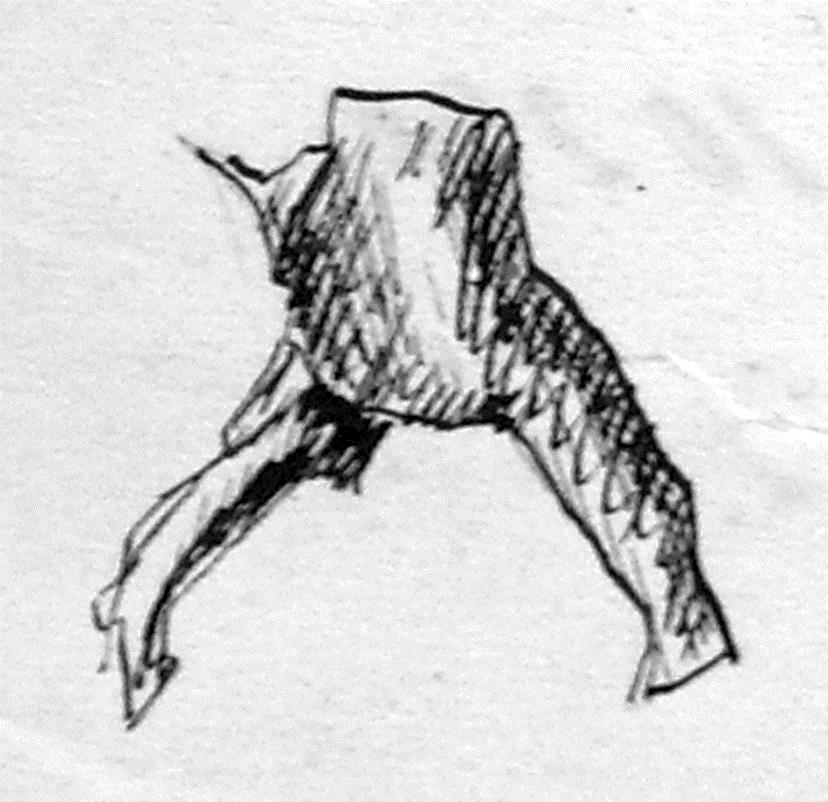 Fingerring