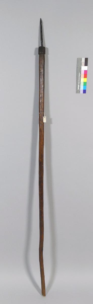 III E 14706