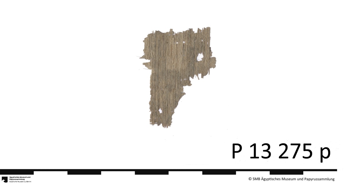 Papyrus mit einer Wirkmustervorlage