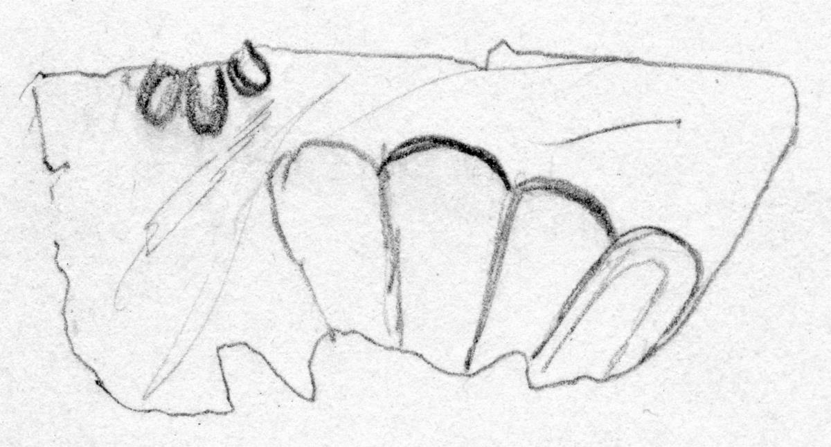 Fragment aus dünnem Blech. Darauf Reste einer Rosette als Verzierung, sowie Teil einer Palmette (?)