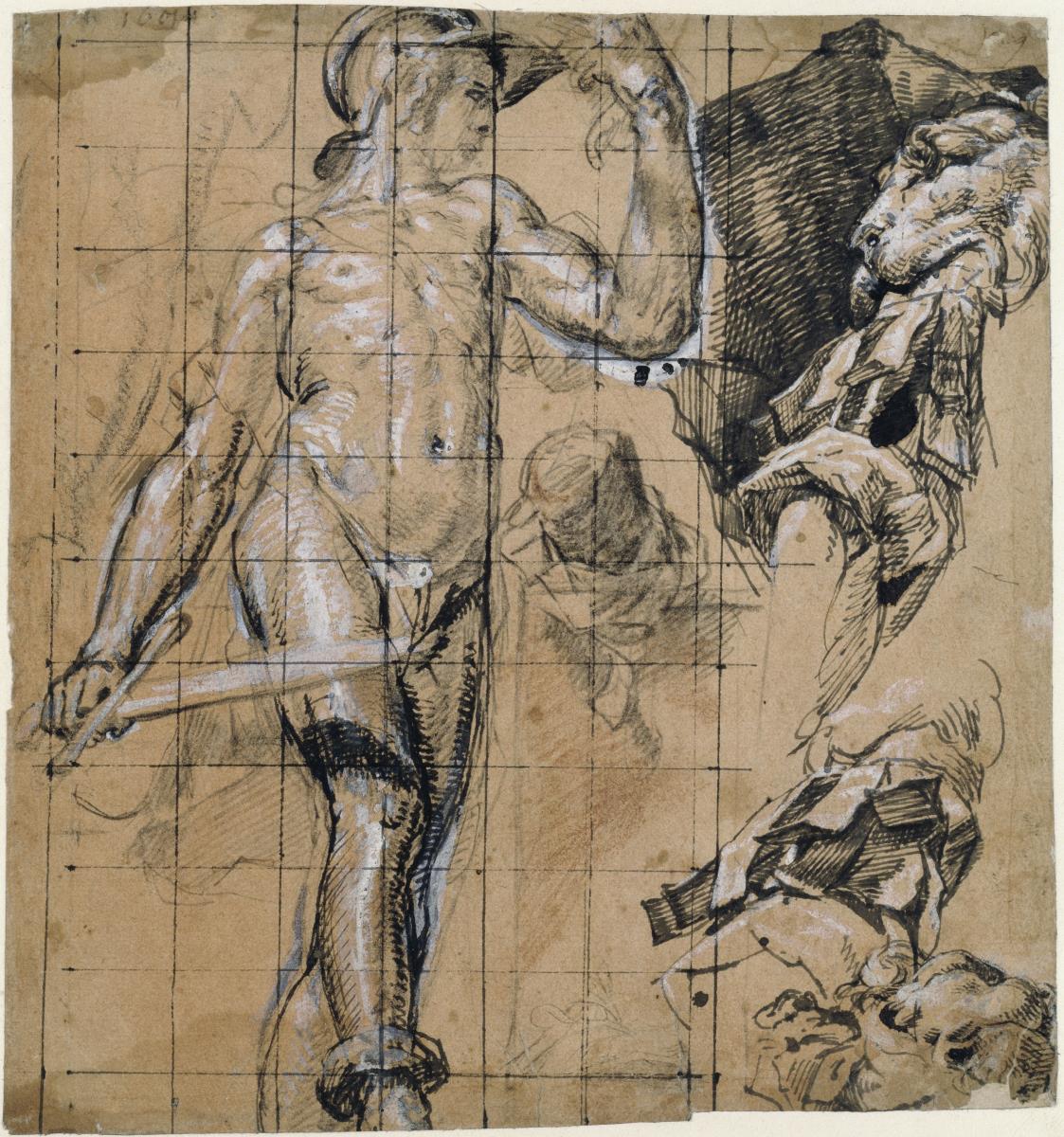 Perseus, Armstudien