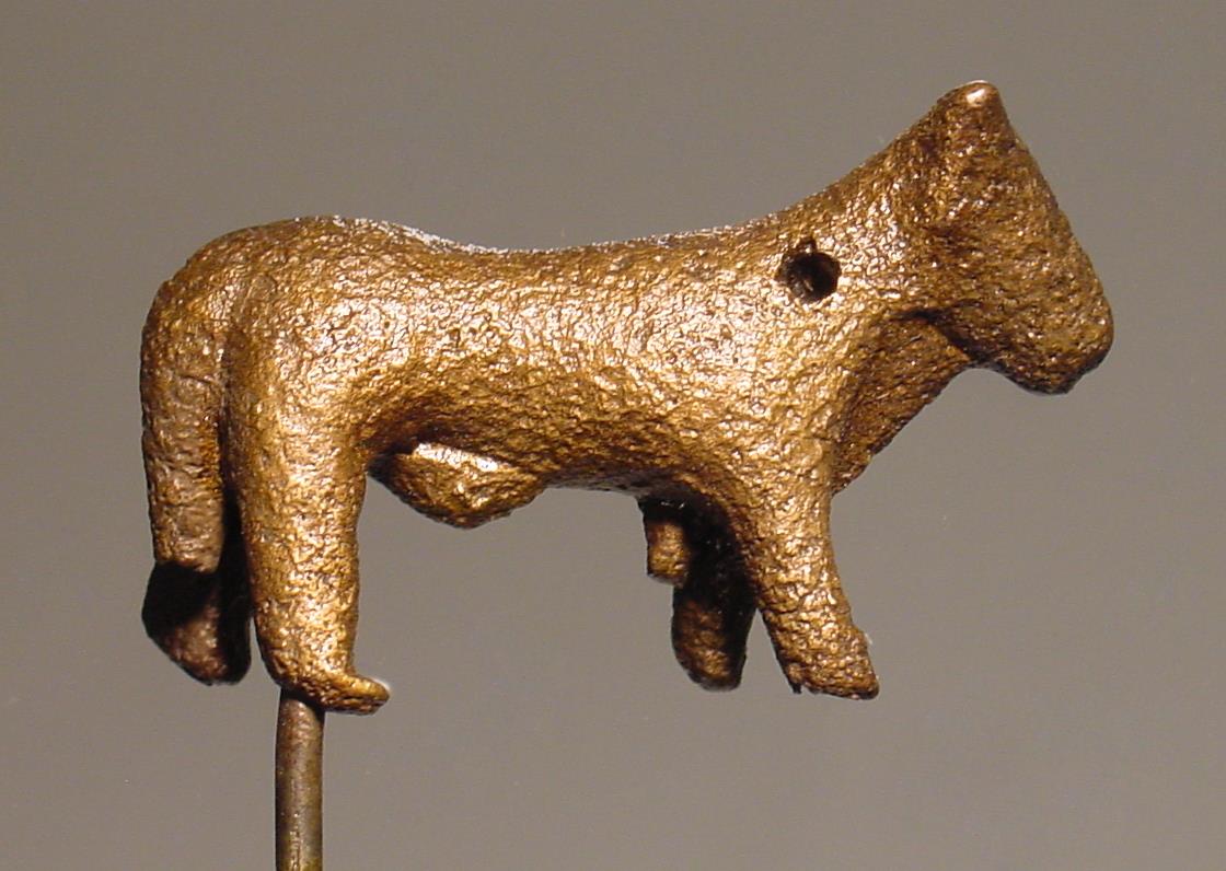 Stier