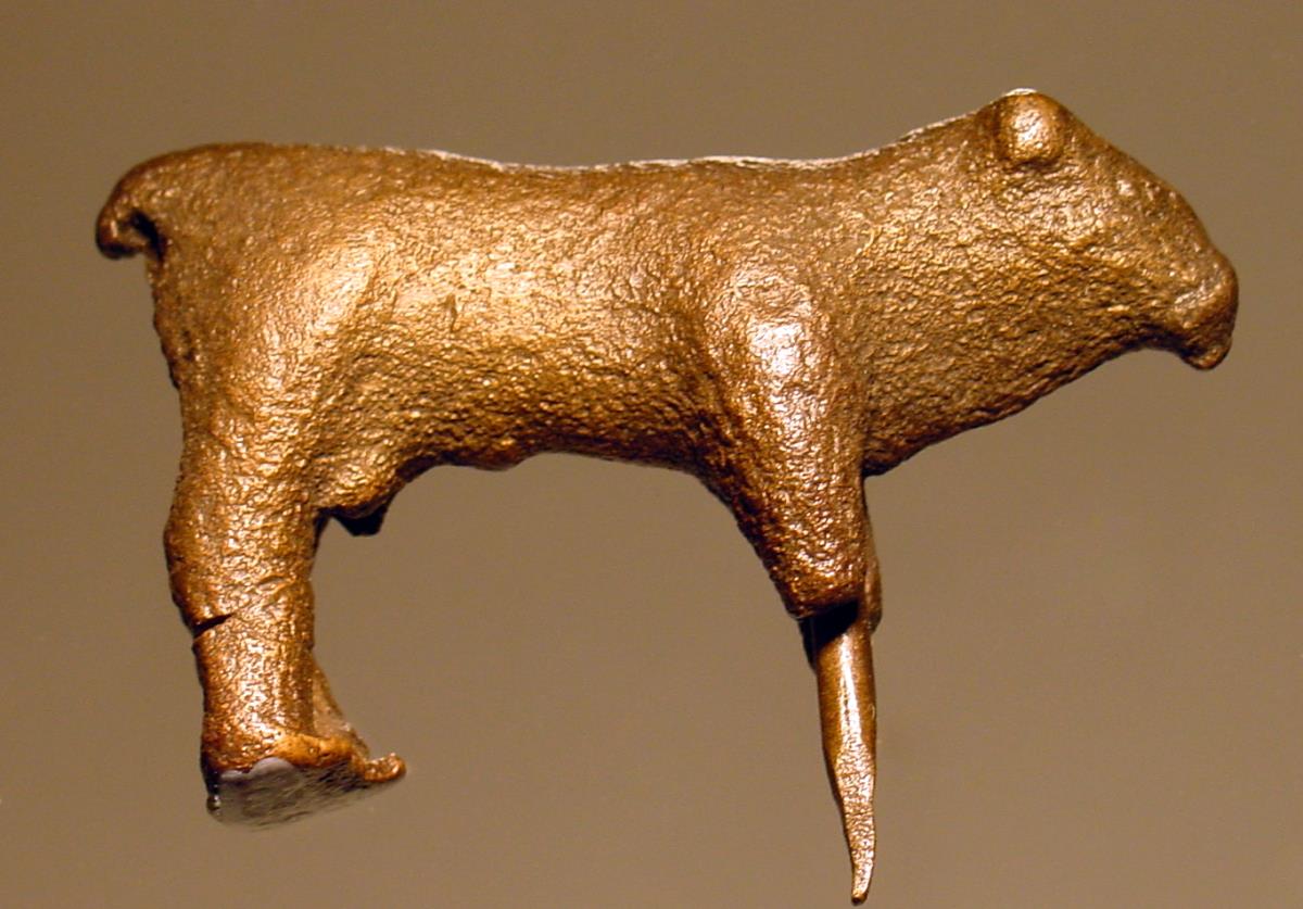 Stier