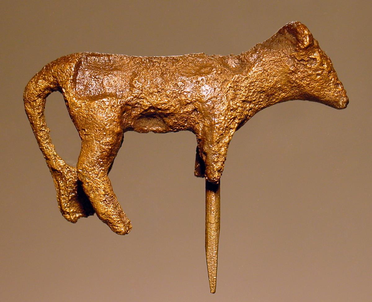 Stier