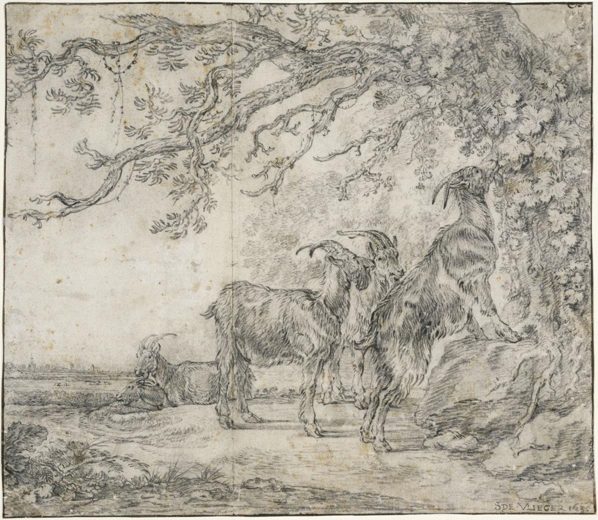 Landschaft mit Ziegen