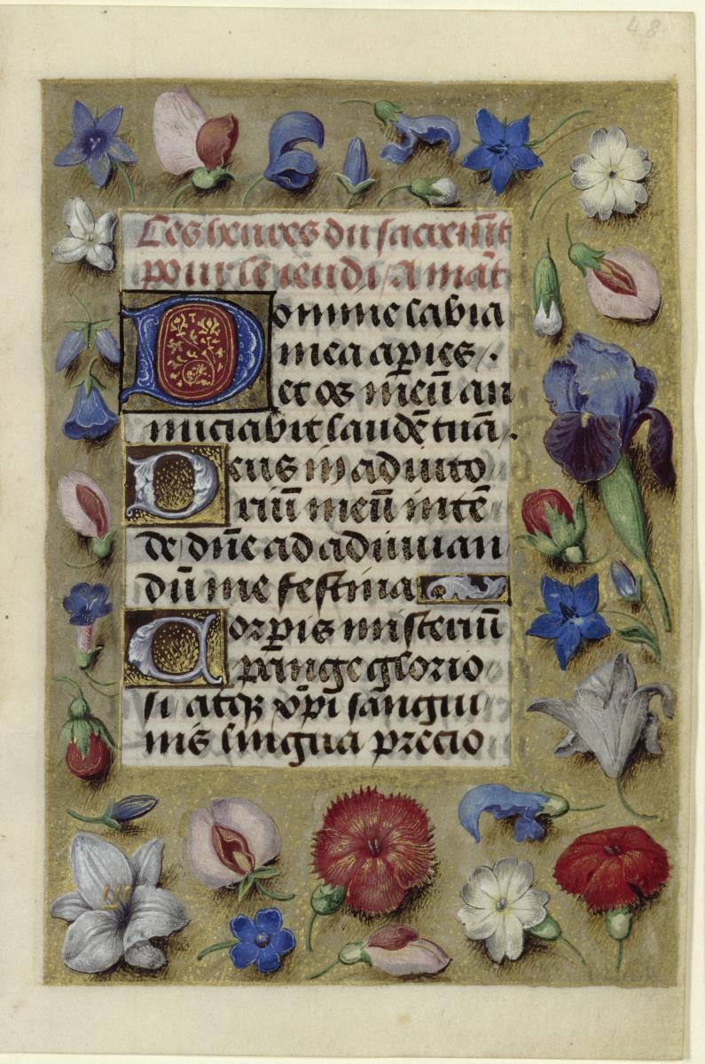 Textrahmung mit Blüten, in: Stundenbuch der Maria von Burgund und Kaiser Maximilians