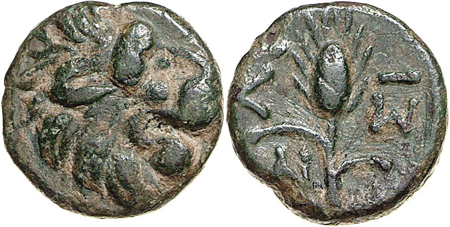 Lysimacheia