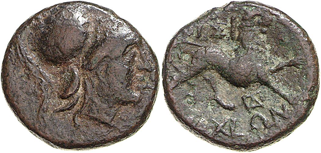 Lysimacheia