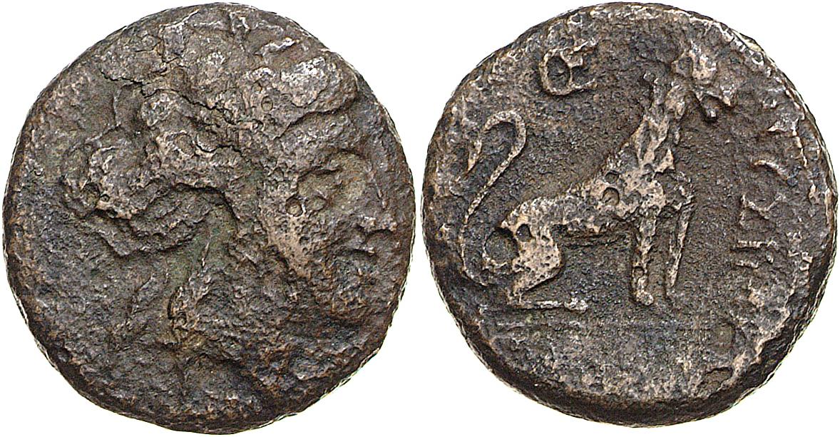 Lysimacheia