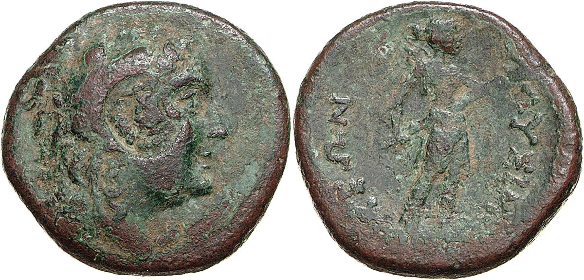 Lysimacheia
