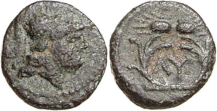 Lysimacheia