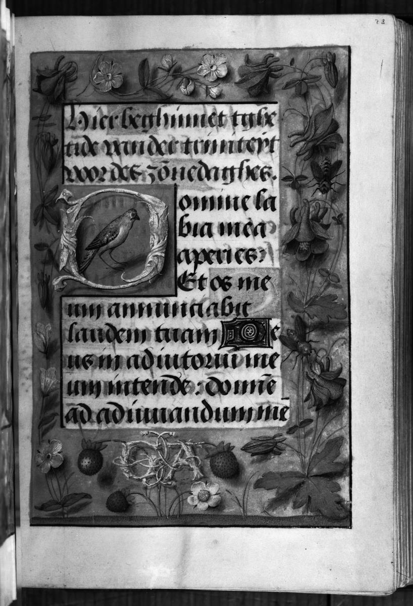 Textseite mit Umrahmung und Initiale D, darin ein Vogel
