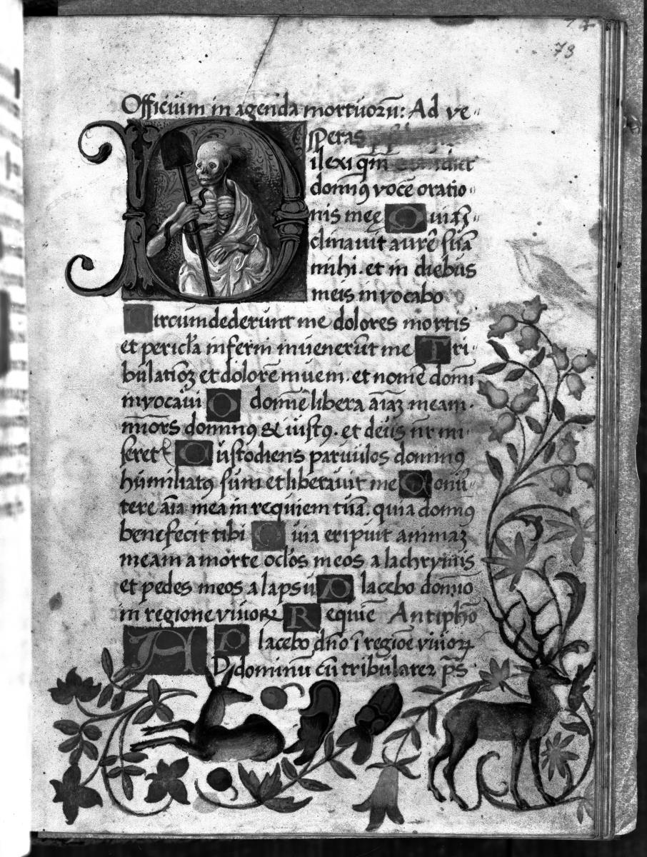 Gebetbuch des Hans Knorr, Blatt 73 recto: Der Tod als halbverwester Leichnam mit Schaufel - Initiale D