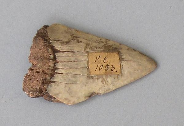 V C 1053