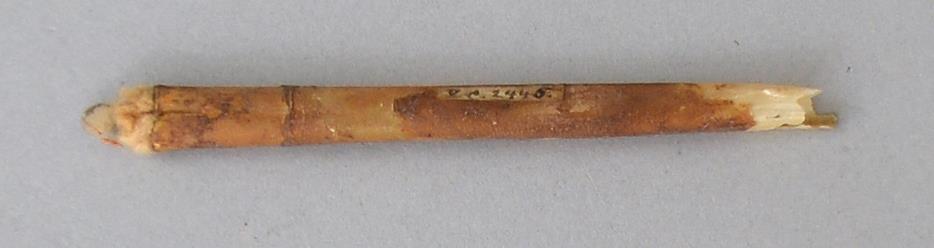 V C 2445