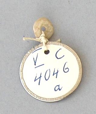 V C 4046 a