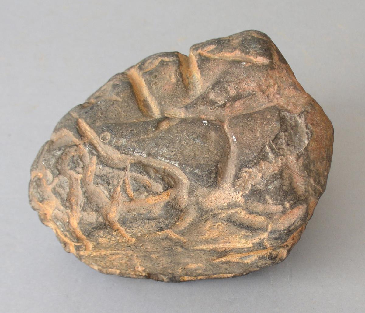 V C 2331