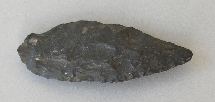 V C 8316