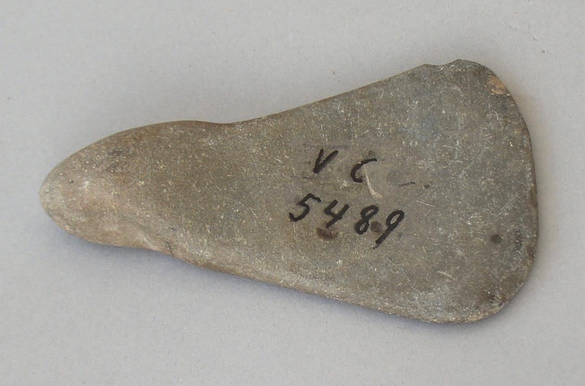 V C 5489