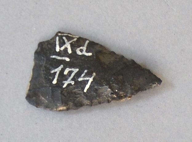 IX d 174