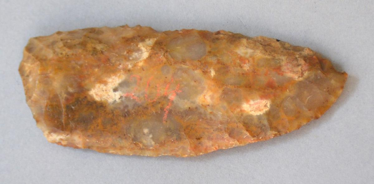 IX d 176