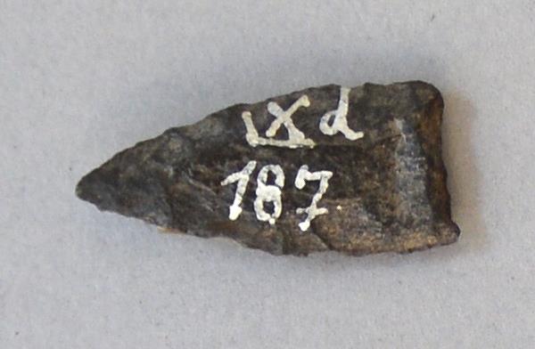 IX d 187
