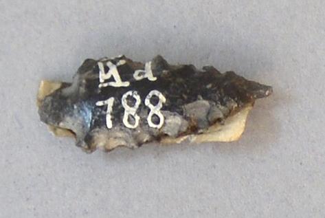 IX d 188