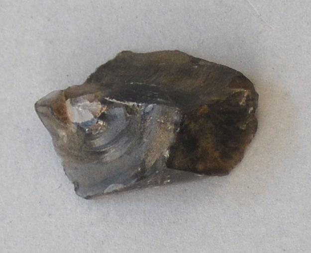 V C 7205