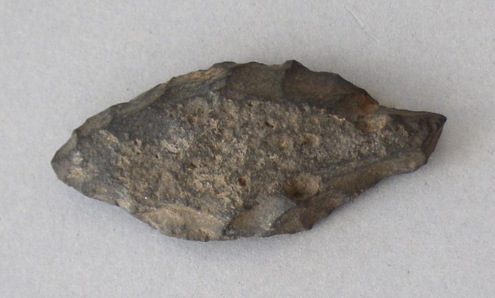 V C 7219