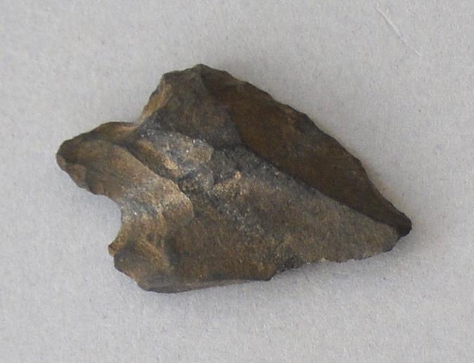 V C 7221