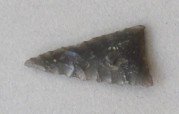 V C 7562