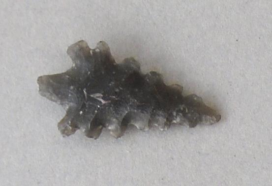 V C 7563