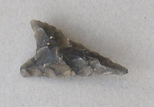 V C 7564