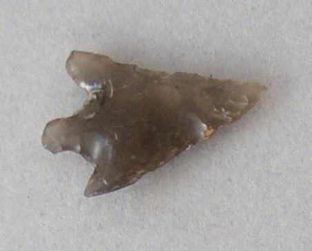 V C 7566